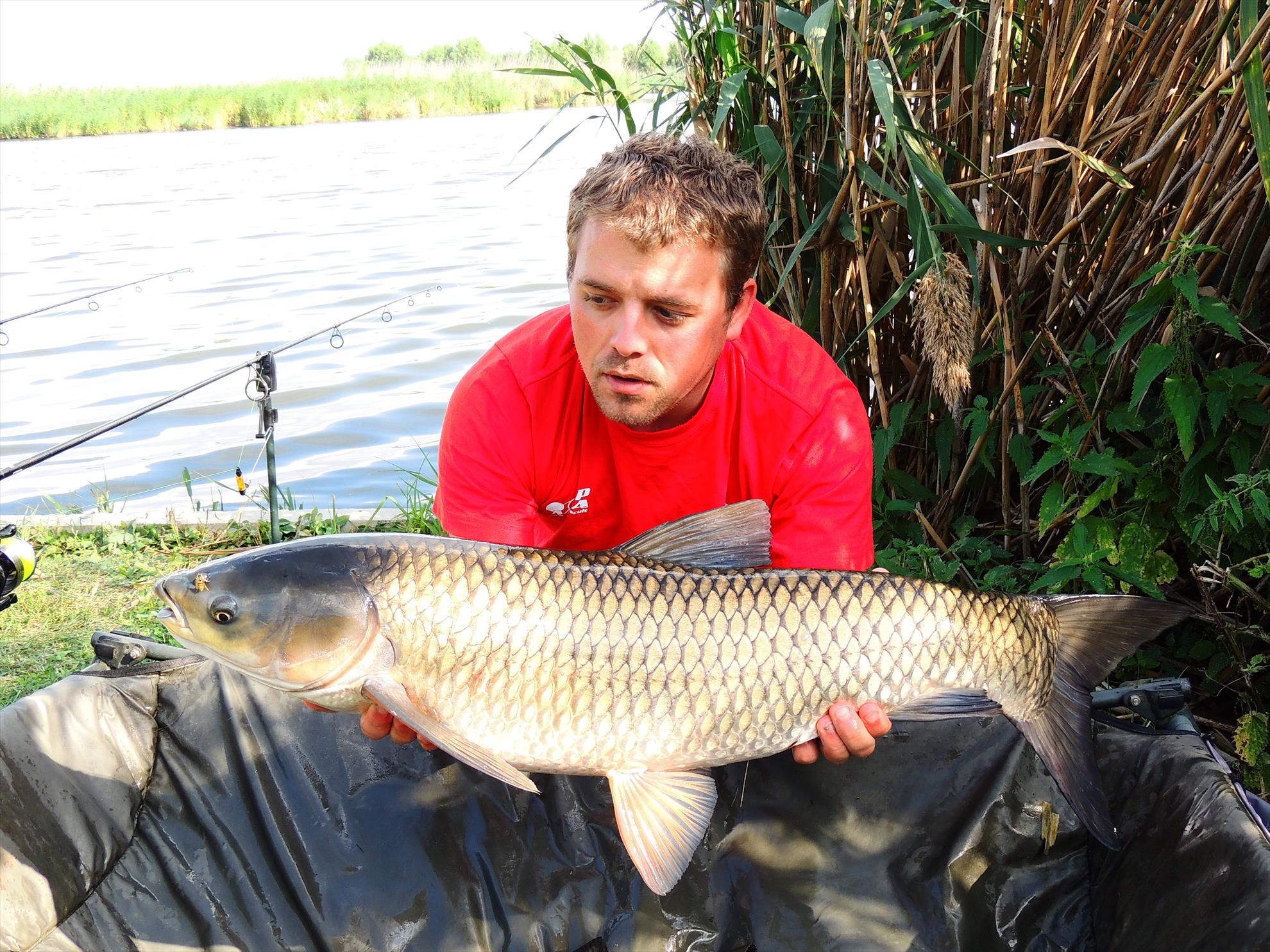 Tancabesti 12 - 14 sep. - 8 kg